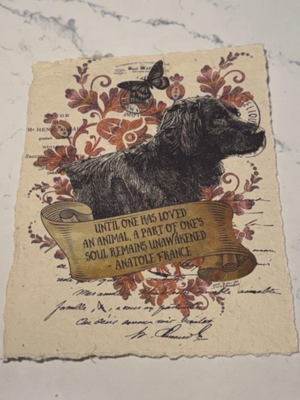 In the Land of Elsewhere Dog Anatole France Quote 4x6 Art Print
